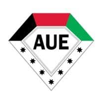 American University in the Emirates (AUE) official logo